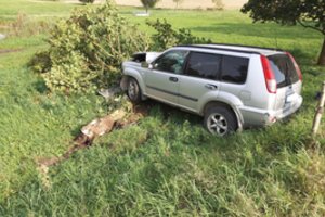 Telšių rajone moters vairuojamas automobilis įsirėžė į medį – sužaloti trys kartu važiavę jaunuoliai