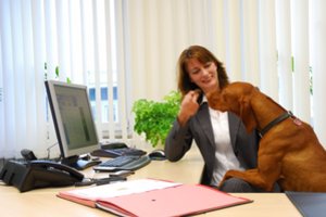 Darbostogos, papildomos laisvos dienos, o gal šuniukas biure: ko reikia darbuotojui?