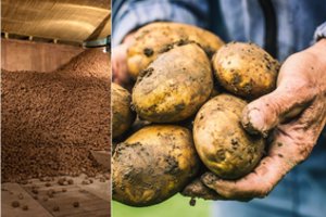 Kartu su bulvėmis dėkite šias daržoves – visos gerai išsilaikys ir nesuges iki pavasario