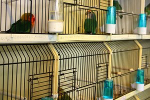 Gyvūnų veisėjui iš Kauno r. neįsileidus VMVT inspektorių – bauda ir papildoma bausmė