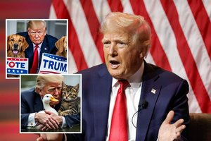 Iš D. Trumpo lūpų – nauja sąmokslo teorija: kas slypi už pareiškimų apie imigrantų valgomus gyvūnus