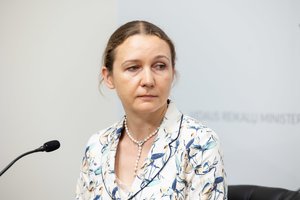 Migracijos departamento vadovė apie didėjantį studentų iš trečiųjų šalių skaičių: kai kurios mokyklos vietas pardavinėja