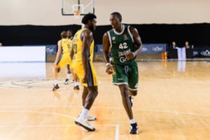 Berlyno ALBA lengvai susitvarkė su „Žalgirio“ skriaudikais