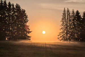 Šią savaitę pasitiksime rudens lygiadienį – kas tai per diena?
