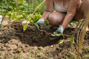 Įspėja sodininkus: Lietuvoje fiksuota mirtis nuo stabligės
