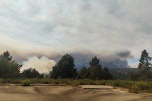 Portugalija skęsta liepsnose: su gaisrais kovoja daugybė ugniagesių, uždaryta dalis greitkelio tarp Porto ir Lisabonos
