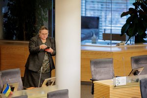 A. Širinskienės planas neišdegė: po „pingpongo“ su V. Čmilyte-Nielsen – valdančiųjų laimėjimas