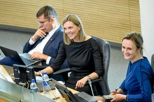 V. Čmilytė-Nielsen apie D. Gaižausko ir L. Kasčiūno ginčą: apmaudu, kad pasitikėjimas kariuomene metamas į rinkimų areną