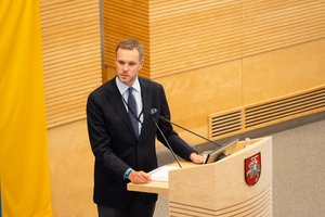 Riaušių prie Seimo byloje liudijęs G. Landsbergis: buvau įspėtas, kad esu vienas iš taikinių