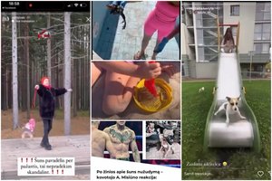 Įtakingi balsai: ar tikrai nuomonės formuotojai prisideda prie gyvūnų gerovės?