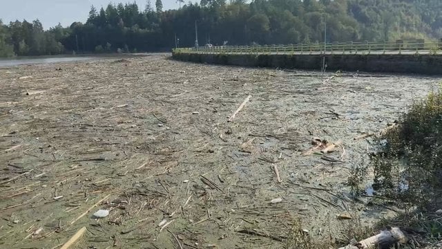 Lenkijoje atslūgus potvynio bangai – situacija negerėja: užfiksavo, ką po savęs paliko stichija