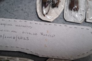 Muitininkai sulaikė pasaulyje nykstančių vabzdžių siuntą iš Meksikos