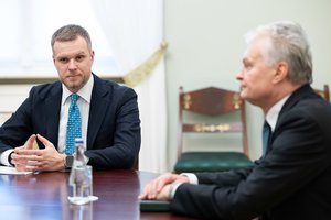 Nerimstant kibirkštims tarp G. Nausėdos ir G. Landsbergio – V. Čmilytės-Nielsen vertinimas