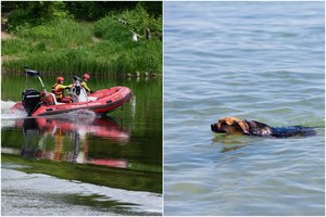 Dviguba gelbėjimo operacija Klaipėdos r.: skęstantį šuniuką traukusiai porelei prireikė ugniagesių pagalbos