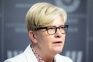 Pasiūlymas įkurti Regionų ministeriją vienybės nesulaukia: vieni kalba apie biurokratiją, I. Šimonytė turi kitą pasiūlymą