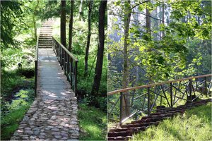 Privalu pamatyti: vienas lankomiausių pažintinių takų atnaujintas ir vėl prieinamas lankytojams