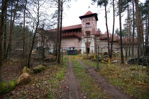 Pilį nugriauti, jos vietoje atstatyti viešąjį tualetą – tikisi, kad tai atliks bankrutavusi įmonė