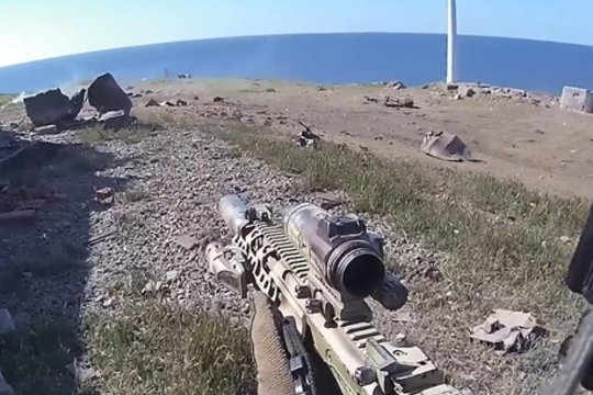 Ukrainos pareigūnų ataskaitoje – dar negirdėtos detalės apie Gyvačių salos išlaisvinimą