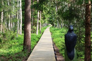Laikinai uždaromas lankytojų pamėgtas pažintinis takas