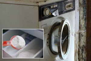 Kaip išvalyti skalbimo mašinos dėklą: šeimininkės dalinasi neįtikėtinai veiksmingais būdais