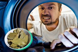 Į skalbimo mašiną įdėkite lauro lapą – efektas nustebins net skeptikus