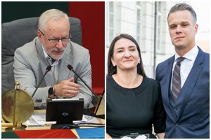 J. Razma nemato pagrindo pradėti tyrimą dėl A. Landsbergienės sklypo: į naujus klausimus gali atsakyti savivaldybė