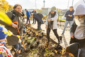 Justiniškėse – krūmų sodinimo talka: pasodinti planuojama virš 4 tūkst. augalų