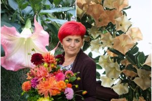 Gražuolis augalas tik kieme kvepia, namuose jis pasmirsta, bet džiugina žiedais – šimtais jų