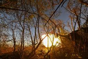 Garsus JAV mokslininkas prognozuoja, kaip baigsis karas Ukrainoje: vienas dalykas – neįmanomas