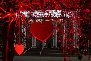 Artėjant pasaulinei širdies dienai vilniečių dėmesį traukia ypatingas kūrinys – instaliacija „Našlių medis“