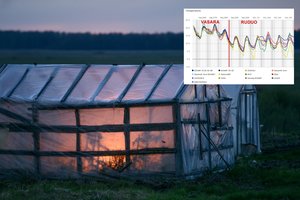 Atkeliauja rudeniški orai: praneša, kada temperatūra ženkliai nukris ir kada galime sulaukti pirmųjų šalnų