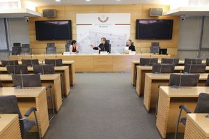 VRK pripažino, kad Z. Vaišvilos spaudos konferencijose buvo skleista paslėpta politinė reklama
