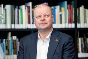 Skvernelis is sceptical about the appeal to politicians by public figures: it has no impact