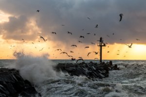 Įsitvirtins rudeniški orai: per šalį slinks lietūs, vietomis vėjo gūsiai sieks 23 m/sek.