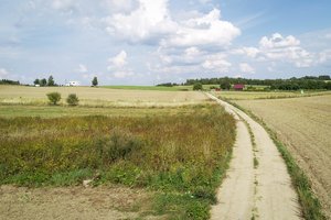 Žemės ūkio ministerijai mažinant administracinę naštą ūkininkai įspėja: kai kurie sektoriai gali nukentėti