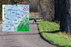 Lietuvoje jau užfiksuotos pirmosios rudens šalnos: įspėja slėpti „lepesnius augaliukus“