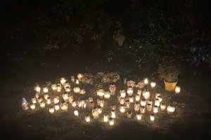 Utenos ralio metu žuvęs 21-erių Rokas – Lietuvos automobilių sporto federacijos narys, dirbęs teisėju