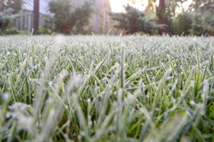 Į Lietuvą plūstelėjo šalto oro masė, sinoptikai perspėja dėl šalnų