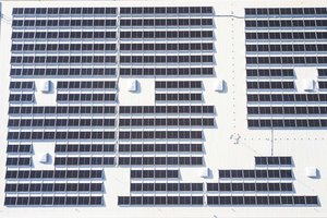 „Lidl“ spartina kovą su klimato kaita – sieks išvengti ŠESD emisijų