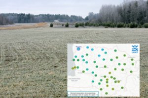 Į spalio mėnesį žengėme su šalnomis: atskleidė, kur jos buvo didžiausios