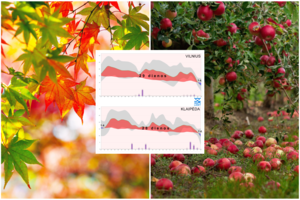 Rugsėjį užfiksuoti dar nematyti šilumos rekordai: atskleidė miestus, pasižymėjusius orų anomalijomis