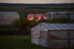 Nusiteikite – orai nelepins: šalnos nesitraukia, menkai šils ir dieną