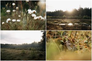 Ši unikali Lietuvos vieta buvo nuniokota: papasakojo, kaip vyksta jos atkūrimas