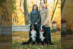 Jovitos ir Eriko namuose lakstantys 6 tituluoti „meškinai“ – įspūdingo grožio ir charakterio