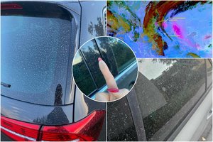 Lietuvių automobiliai – padengti purvu: paaiškino, kas nutiko