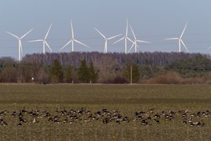 Seimas svarstys siūlymą uždrausti kiniškos įrangos naudojimą šalies elektros tinklų sistemoje