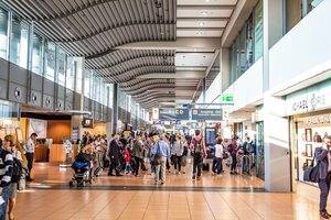 Sujudimas Vokietijoje: kilo pavojus, kad Europą pasieks mirtinas Marburgo virusas