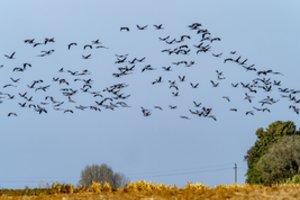 Po lietingų ir vėsių dienų – pokyčiai: sinoptikai atskleidė, koks laukia savaitgalis