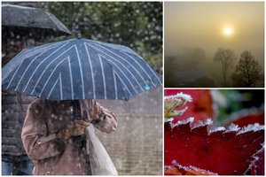 Savaitės orų prognozė: lietų keis rūkas ir šalnos iki 5 laipsnių šalčio, bet netrukus – 20 laipsnių šilumos