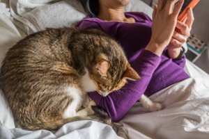 Įspėja dėl pavojingo poilsio: veterinarė atskleidė, kodėl negalima miegoti lovoje su katėmis